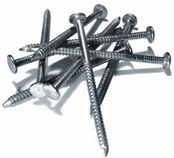 ������ �������