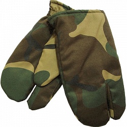 �������� ����������