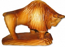 ���� �������