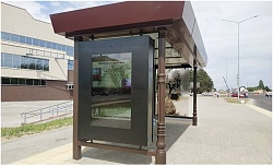 �����  ���������