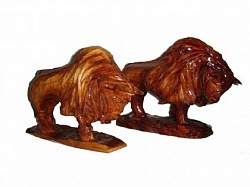 ���� �����